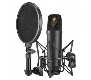 Microphone professionnel de studio radio webradio 